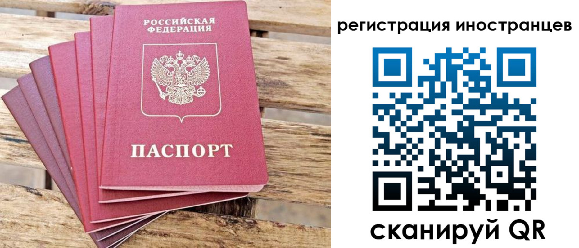 временная прописка в Химках